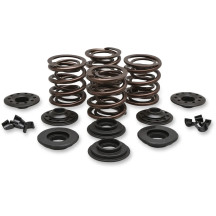 Kit de muelles de válvula OEM de reemplazo — 0.415" recorrido, 270 lb presión abierta, 127 lb presión en asiento
