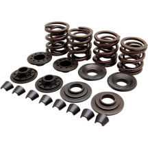 OEM Replacement Valve Spring Kit — 0.400" spring lift, 330 lb open, 95 lb seat