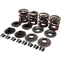 OEM Replacement Valve Spring Kit — 0.400" spring lift, 330 lb open, 95 lb seat