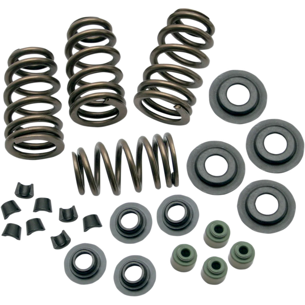 Kit de resortes de válvula Sidewinder® .650"