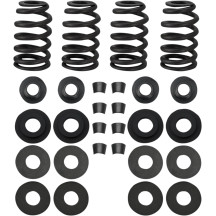 Street Performance Valve Spring Kit