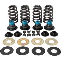 Valve Spring Kit