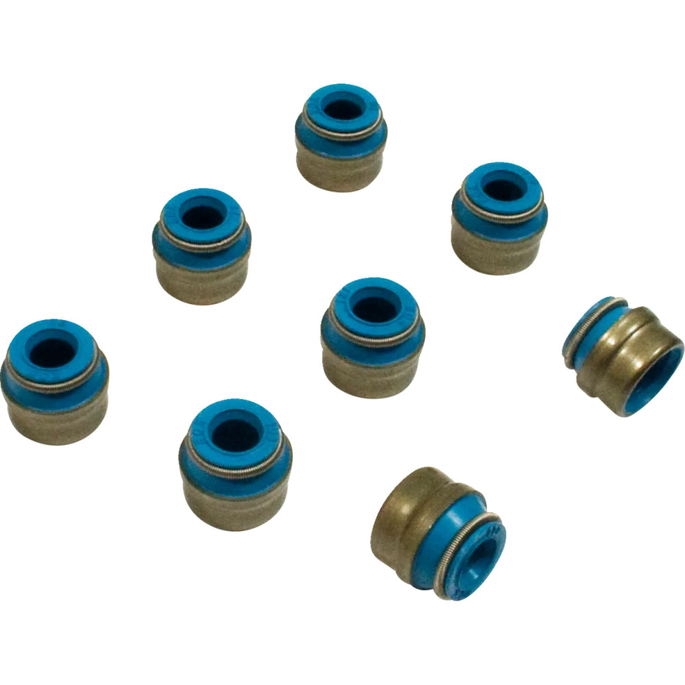 Valve Seals