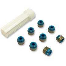 Valve Seals