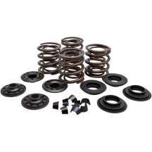 Racing Valve Spring Kit — 0.600" spring lift, 387 lb open pressure, 152 lb seat pressure