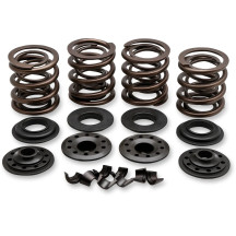 Kit de muelles de válvula OEM de reemplazo — 0.415" elev., 272 lb apertura, 129 lb asiento
