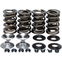 Racing Valve Spring Kit — 0.655" lift, 465 lb open, 190 lb seat