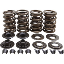 Racing Valve Spring Kit — Lightweight Racing, 0.655" lift, 450 lb open, 185 lb seat