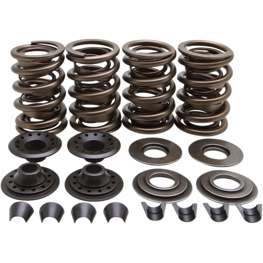 Racing Valve Spring Kit — Lightweight Racing, 0.655" lift, 450 lb open, 185 lb seat