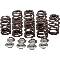 Beehive Valve™ Spring Kit — 0.550" lift, 230 lb open, 104 lb seat