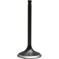 Nitrided Valve — Oversize, Stainless Steel, head 1.610", stem 0.3106", length 4.565", tulip 25°