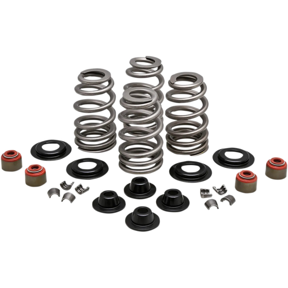 Kit de muelles Beehive Valve™ — elevación 0.610", 400 lb apertura, 175 lb asiento