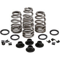 Beehive Valve™ Spring Kit — 0.660" lift