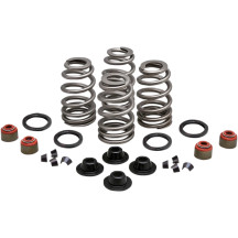 Beehive Valve™ Spring Kit — 0.660" lift, 371 lb open, 178 lb seat