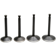 Engine Valve Kit
