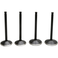 Black Diamond™ Engine Valve Kit — Standard, Stem Ø Intake 0.3100\" , Exhaust 0.3095\"