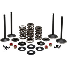 Engine Valve Kit — Head Ø 1.840"/1.565", Stem Ø 0.3100", Black Diamond™ stainless
