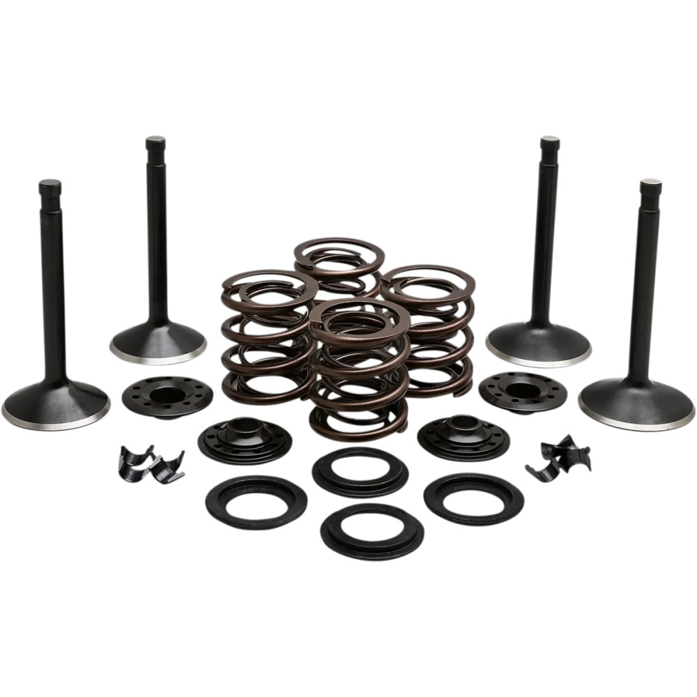 Engine Valve Kit — Head 1.750\", Stem 0.3765\"/0.3760\", Length 3.590\"/3.670\", Black Diamond™ stainless