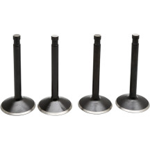 Kit de Válvulas de Motor