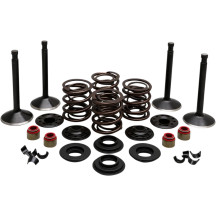 Engine Valve Kit — Head 1.950"/1.750", Stem 0.3765"/0.3760", Length 3.885"/3.810"