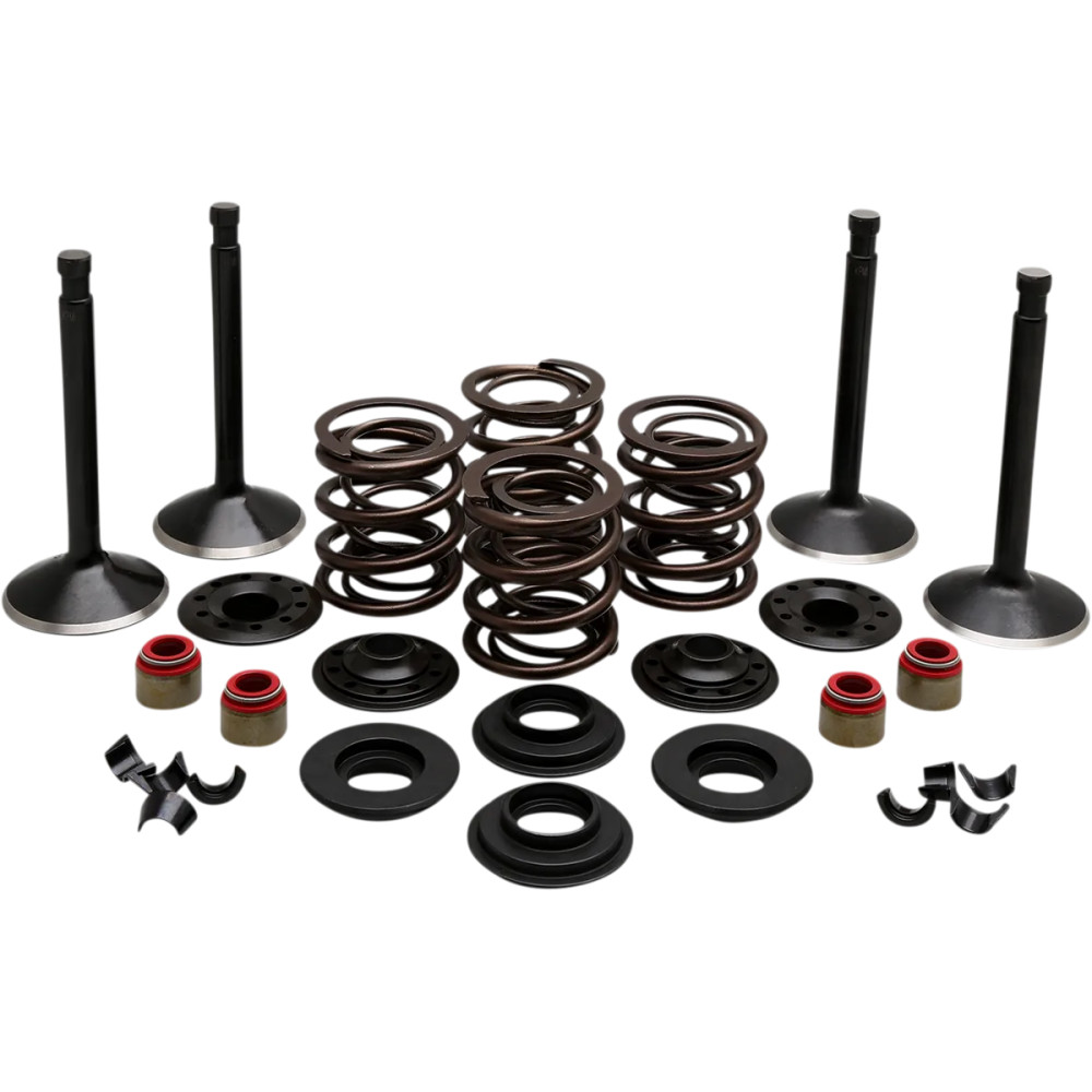 Engine Valve Kit — Head 1.950"/1.750", Stem 0.3765"/0.3760", Length 3.885"/3.810"