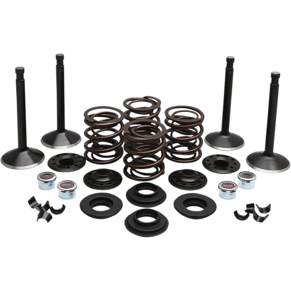 Kit de válvulas de motor — Black Diamond™ acero inoxidable, cabeza admisión 1.950", escape 1.750", vástago 0.3765"/0.3760"