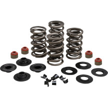 Kit de muelles de válvula de competición — 0.650" recorrido, 440 lb apertura, 185 lb asiento, Lightweight Racing