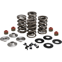 Kit de Resortes de Válvula de Carreras Ligero