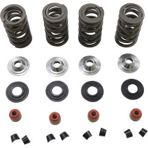 Kit de Resortes de Válvula de Carreras Ligero