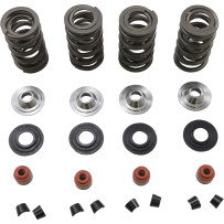 Racing Valve Spring Kit — 0.675\" lift, 450 lb open, 185 lb seat