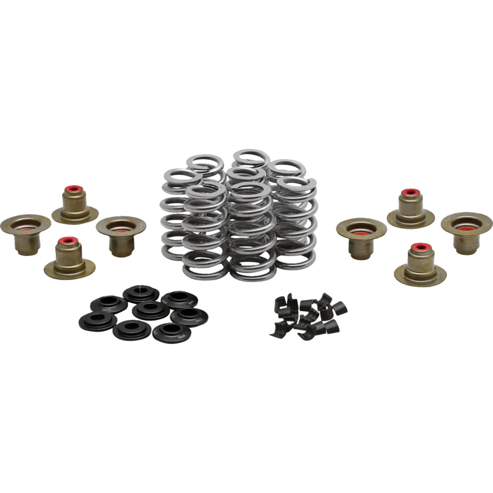Beehive Valve™ Spring Kit — 0.640" lift, 285 lb open, 83 lb seat