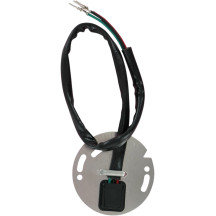 Ignition Sensor Assembly