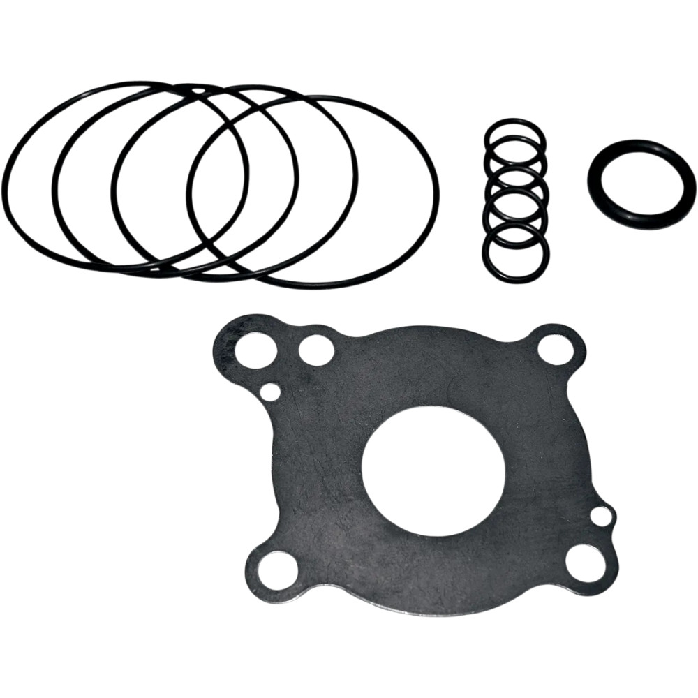 Oil Pump Rebuild Kit
