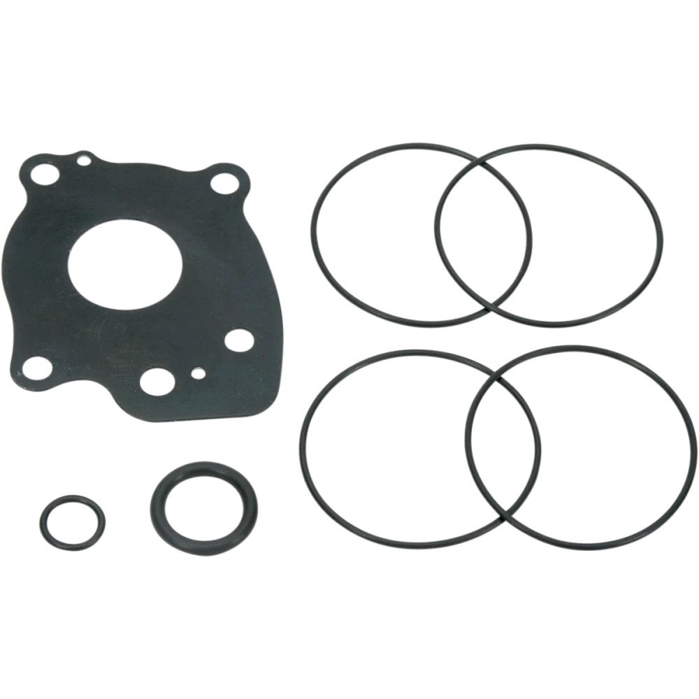 Oil Pump Rebuild Kit