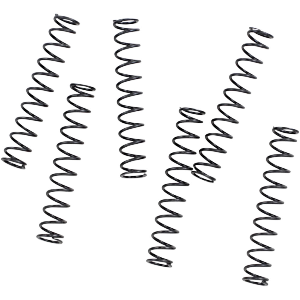 Pressure Relief Valve, Springs and Plunger