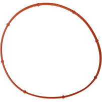 Derby Cover Gasket — C9152F1