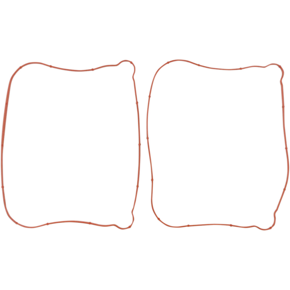 Rocker Gasket
