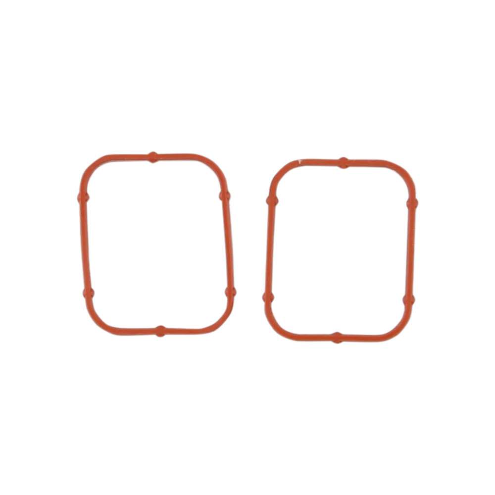Rocker Gasket