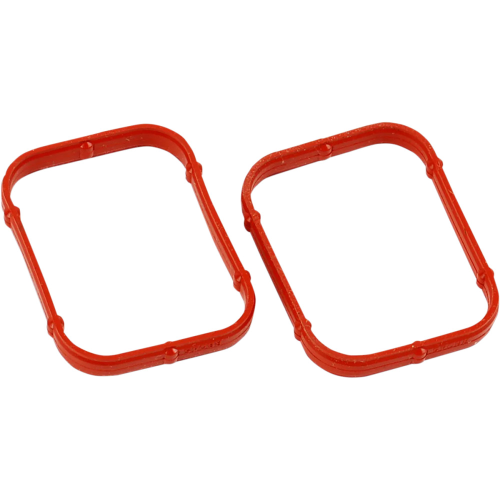 Rocker Gasket