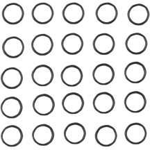 Oil Pump O-Ring — Viton, 25-pack
