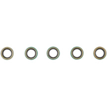 Shifter Shaft Seal — C9531, 5 Pack