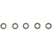 Shifter Shaft Seal — C9531, 5 Pack