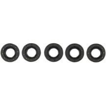 Shifter Shaft Seal