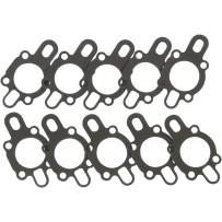 Oil Pump Gasket