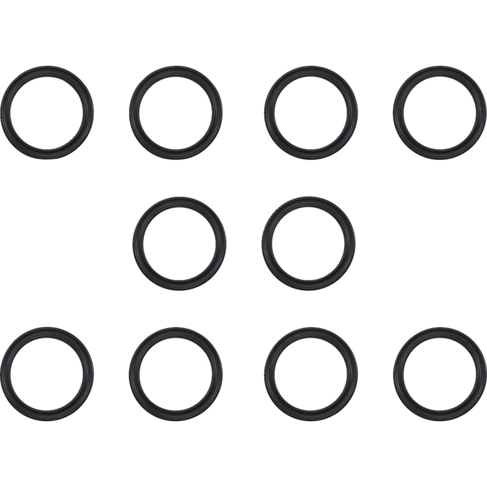 Solenoid Seal — Inner primary, solenoid, 10 Pack