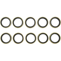 Engine Crankcase Seal