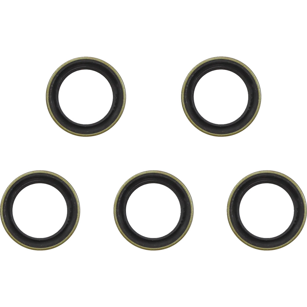 Main Drive Gear Seal Kit — 5-pack
