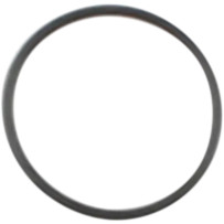 Starter O-Ring