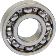 Counterbalance Shaft Bearing