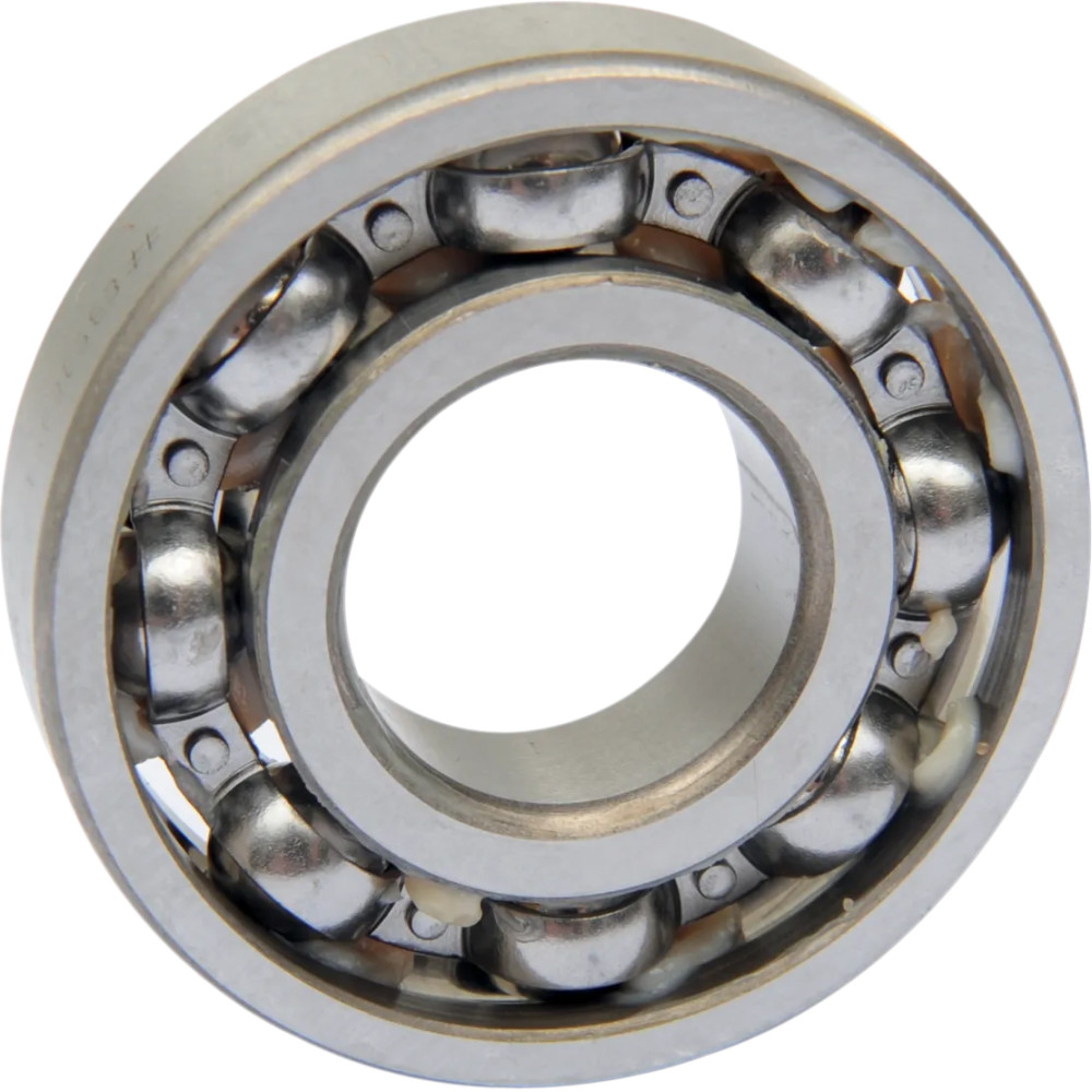 Counterbalance Shaft Bearing